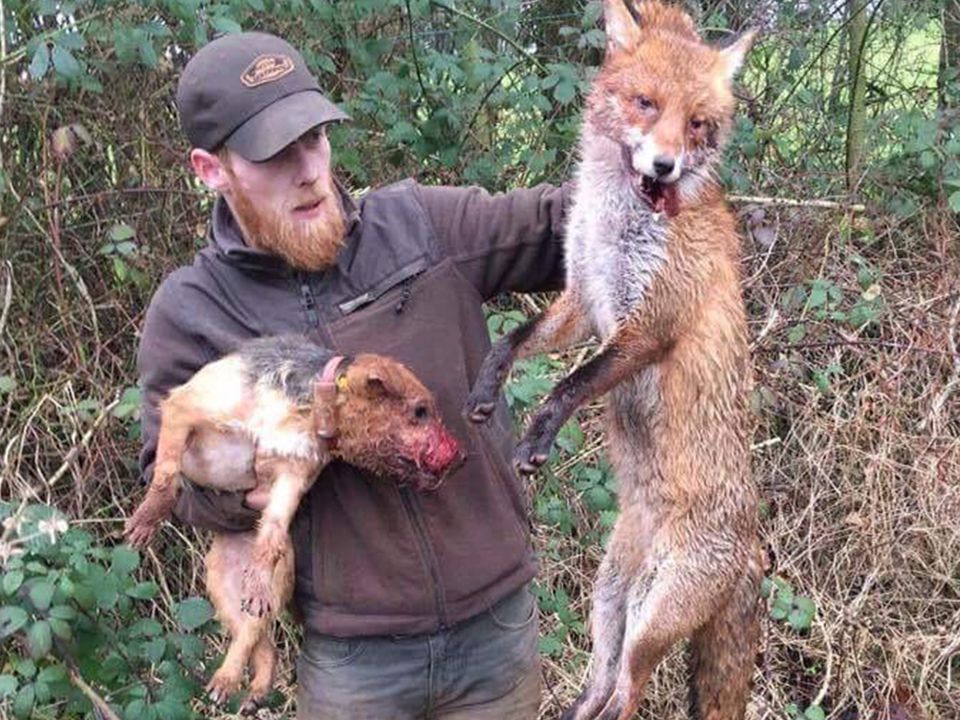 Neil Pinkerton was charged with animal cruelty for this shocking image but managed to walk free from court